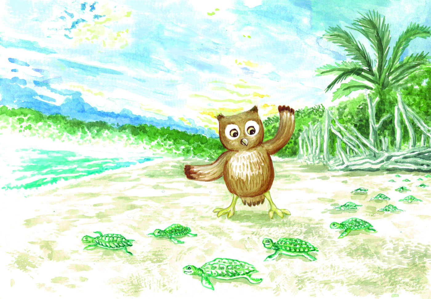 Playa Venao — Baby turtles on the beach